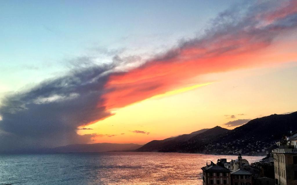 La Casa Della Fiore Camogli Exterior foto
